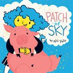 Patch of sky cover image cdn
