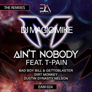 Ain't nobody cover image cdn