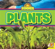 Plants. All about summer cover image cdn
