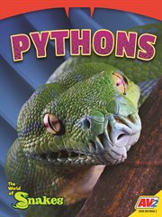 Pythons cover image cdn