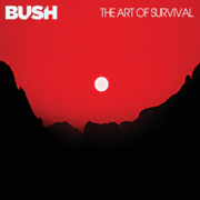 The art of survival cover image cdn