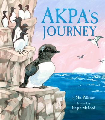 Akpa's journey cover image