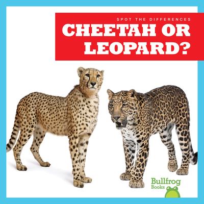 Cheetah or leopard?  cover image cdn