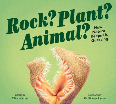 Rock? Plant? Animal? : how nature keeps us guessing cover image