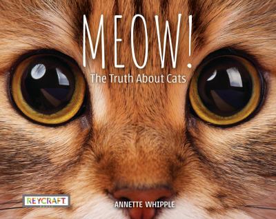 Meow! : the truth about cats cover image