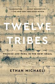 Twelve tribes : Promise and Peril in the New Israel cover image cdn