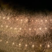 Falling up cover image cdn