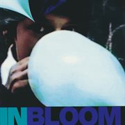 In bloom cover image cdn
