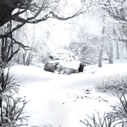 SZNZ. "Winter" cover image cdn