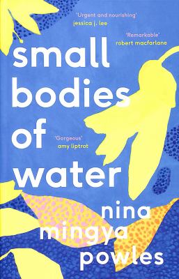 Small bodies of water cover image