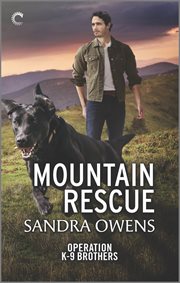 Mountain rescue cover image cdn