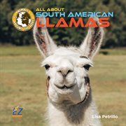 All about South American llamas cover image cdn