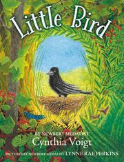 Little bird cover image cdn
