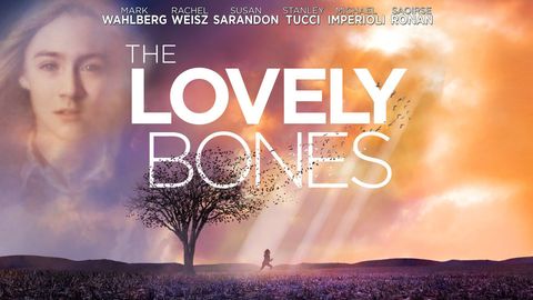 The Lovely Bones cover image cdn