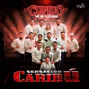 Cupido me ha flechado cover image cdn