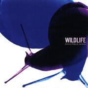 Wildlife (2023 remaster) cover image cdn