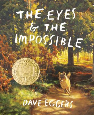 The eyes & the impossible cover image