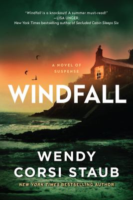 Windfall : a novel of suspense  cover image cdn