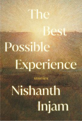 The best possible experience : stories cover image