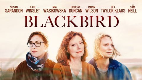 Blackbird cover image cdn