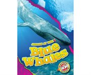 Blue whales cover image cdn