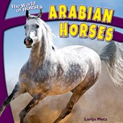 Arabian horses cover image cdn