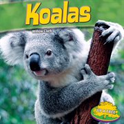 Koalas cover image cdn