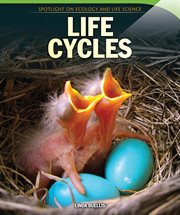Life Cycles cover image cdn