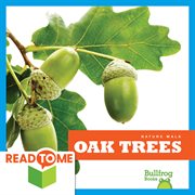 Oak trees cover image cdn