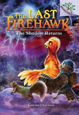 The shadow returns cover image