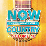 Now that's what I call country. Volume 16 cover image cdn