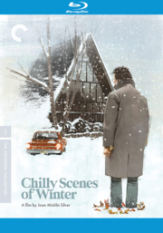 Chilly scenes of winter cover image