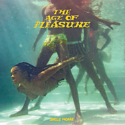 The age of pleasure cover image