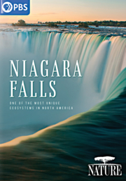 Niagara Falls cover image