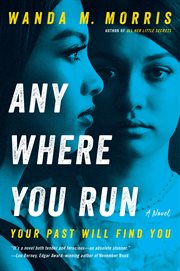 Anywhere you run : a novel cover image cdn