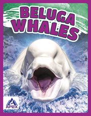 Beluga Whales cover image cdn