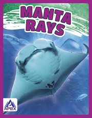Manta Rays cover image cdn