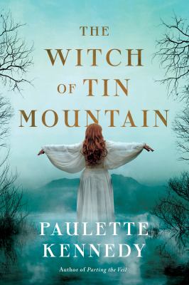 The witch of Tin Mountain  cover image cdn