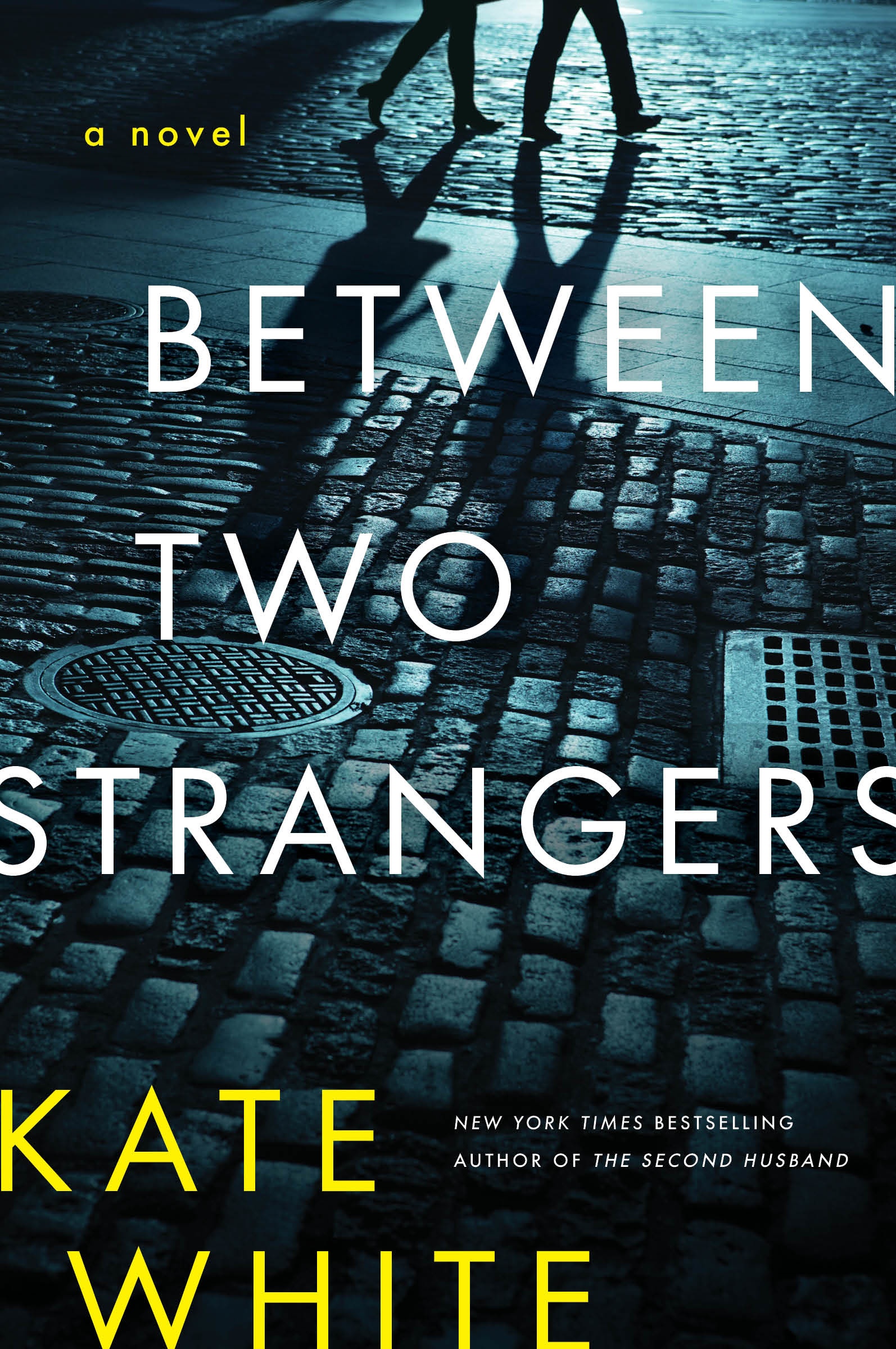 Between Two Strangers A Novel of Suspense cover image cdn
