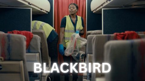 Blackbird cover image cdn