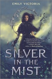 Silver in the Mist cover image cdn