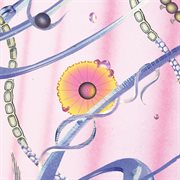 Graveyard Shift cover image cdn