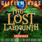 The Lost Labyrinth cover image cdn