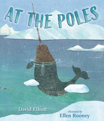At the poles cover image