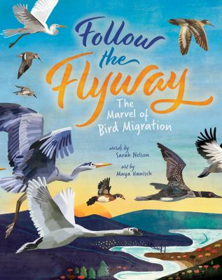 Follow the flyway : the marvel of bird migration  cover image cdn