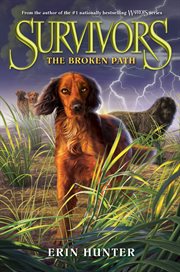 The broken path cover image cdn