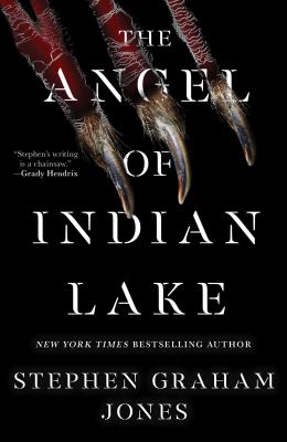 The angel of Indian Lake cover image
