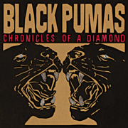 Chronicles of a diamond cover image
