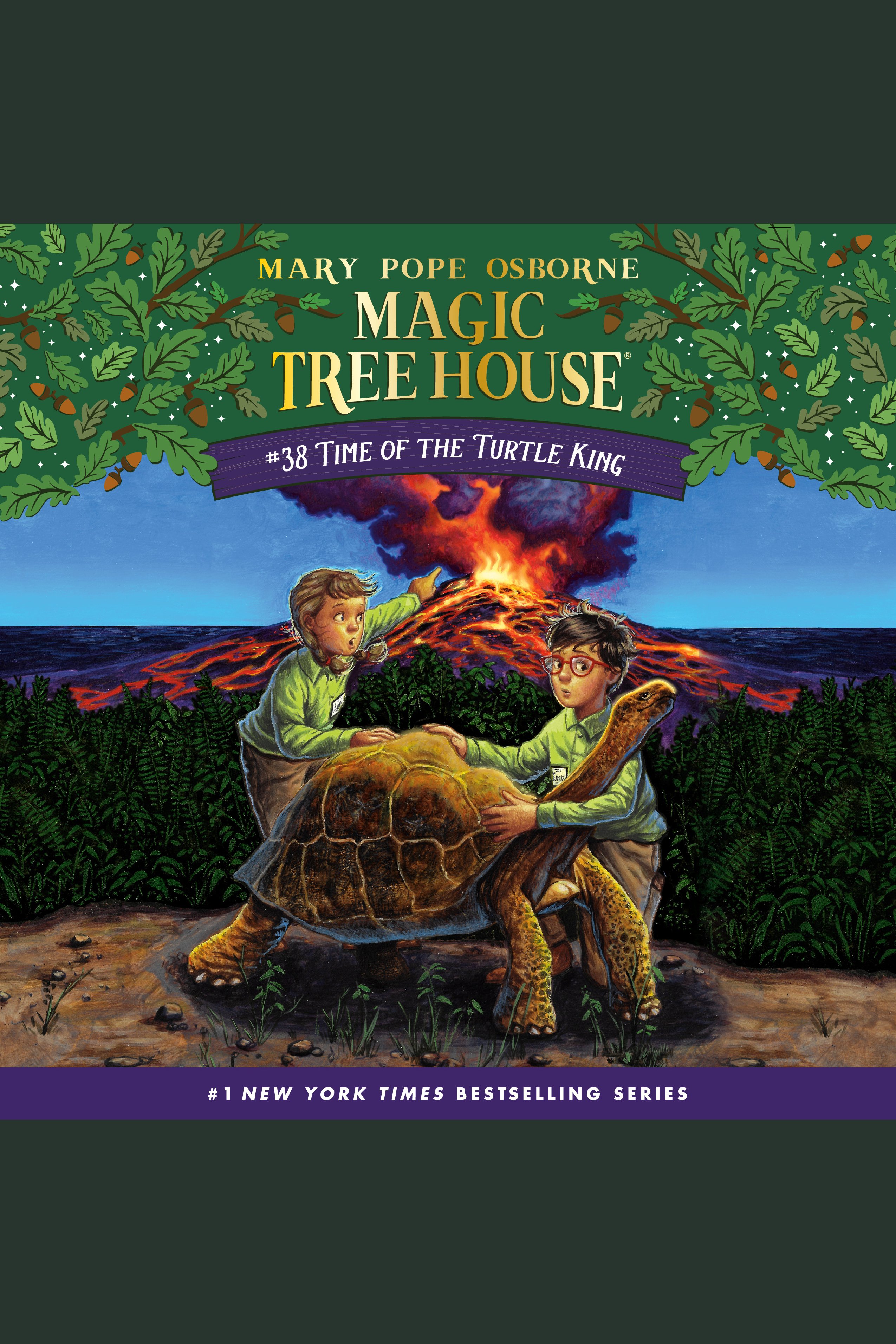 Time of the Turtle King cover image cdn