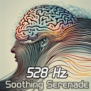 528 Hz Soothing Serenade: Immerse Yourself in Tranquility and Calm with Enchanting Solfeggio Melo... cover image cdn